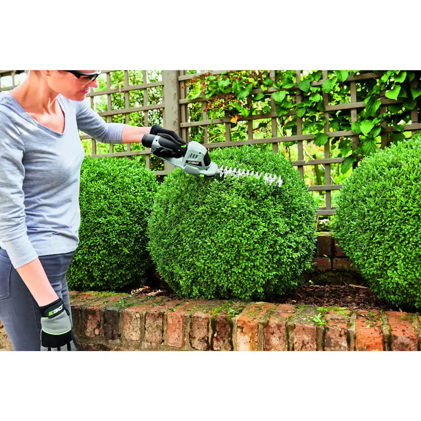 Gräs-och busksax EGO POWER+ Kit med Batteri