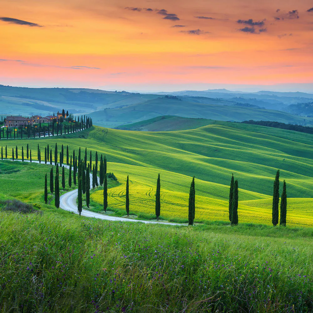 Fototapet Living Walls Designwalls DD118650