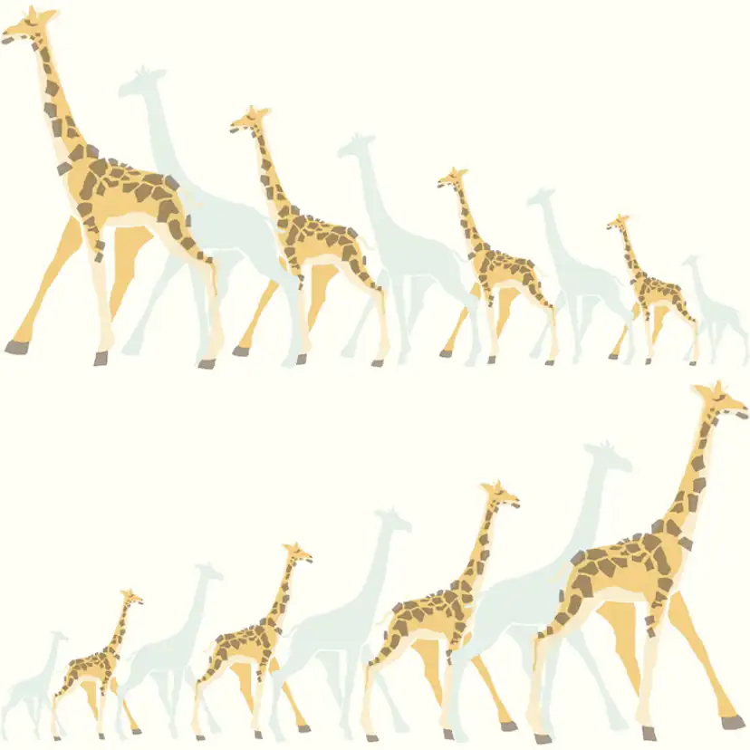 Tapet York Wallcoverings Dwell Studio Baby & Kids DW2360