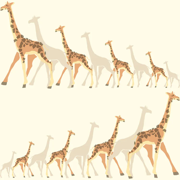 Tapet York Wallcoverings Dwell Studio Baby & Kids DW2361