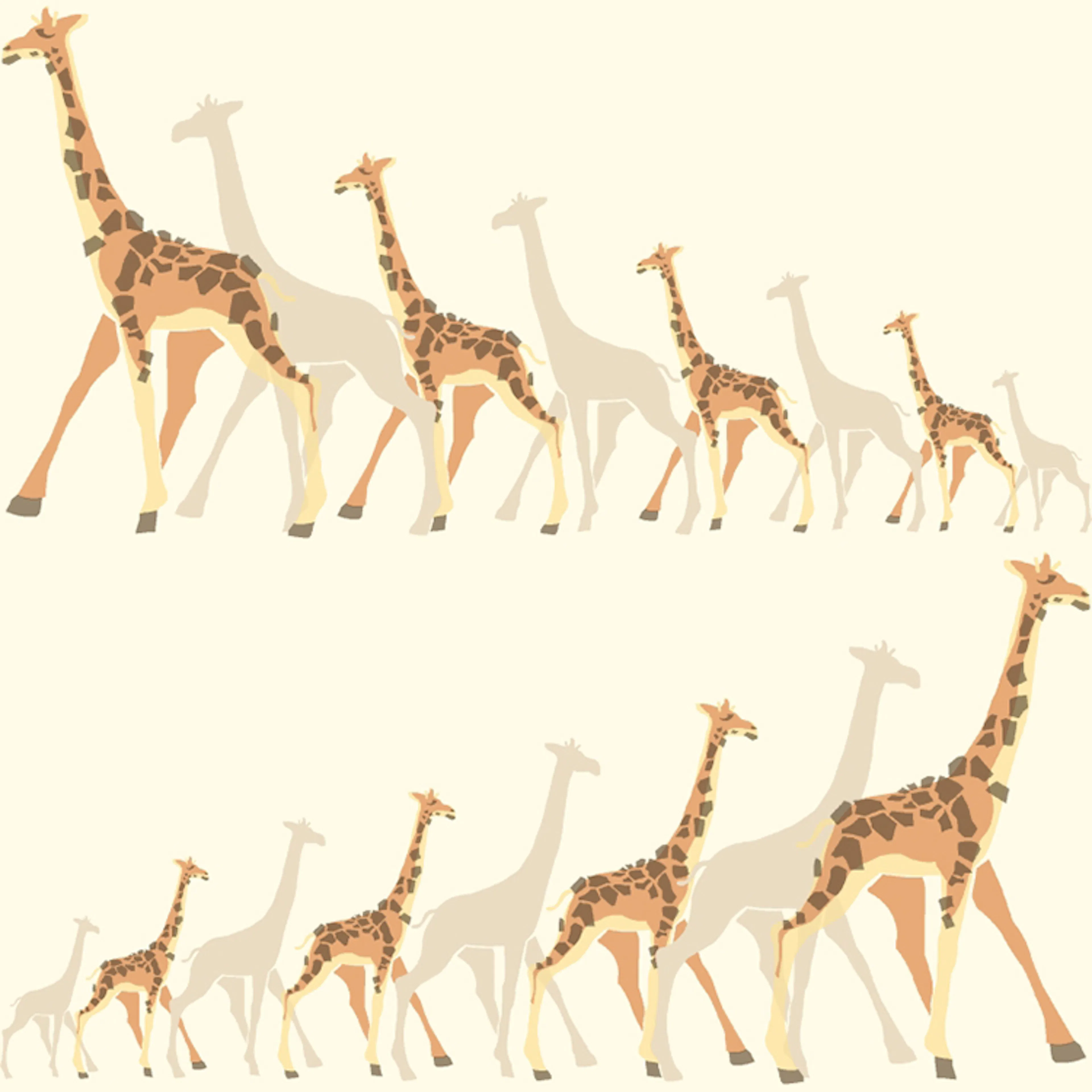 Tapet York Wallcoverings Dwell Studio Baby & Kids DW2361