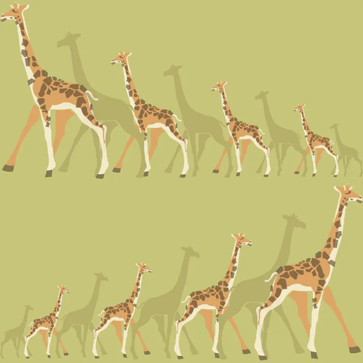 Tapet York Wallcoverings Dwell Studio Baby & Kids DW2364