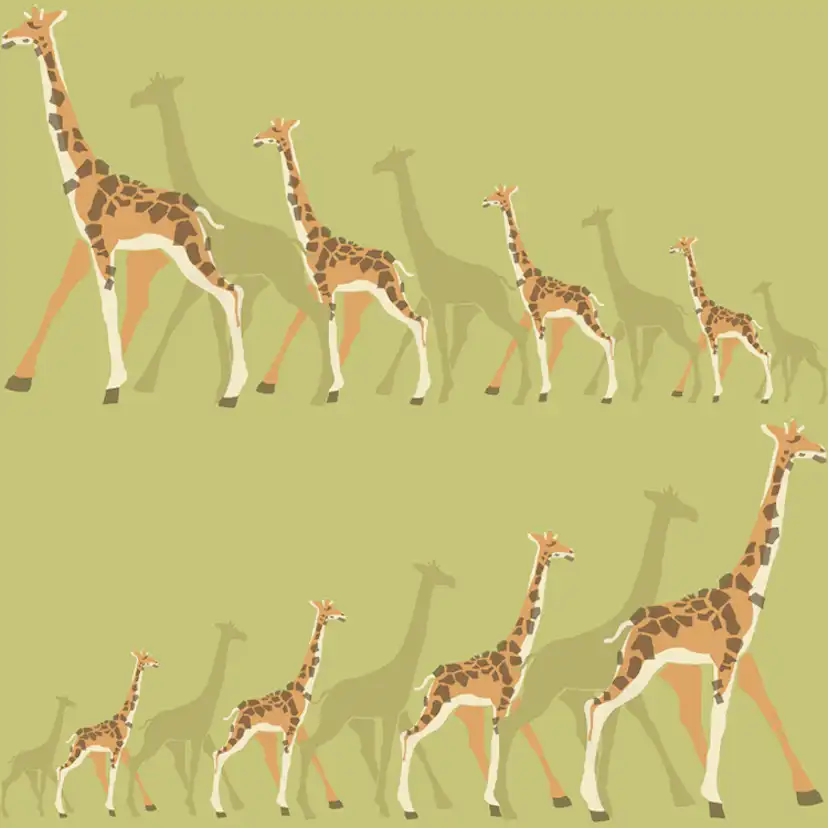 Tapet York Wallcoverings Dwell Studio Baby & Kids DW2364