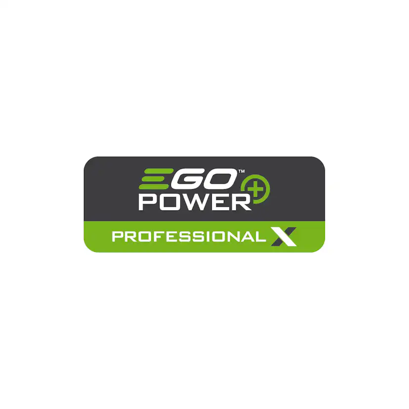 Sele EGO POWER+ för Batteri