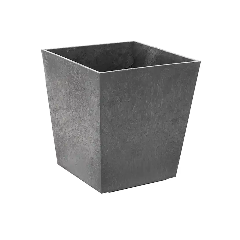 Blomkruka Recal Sonata