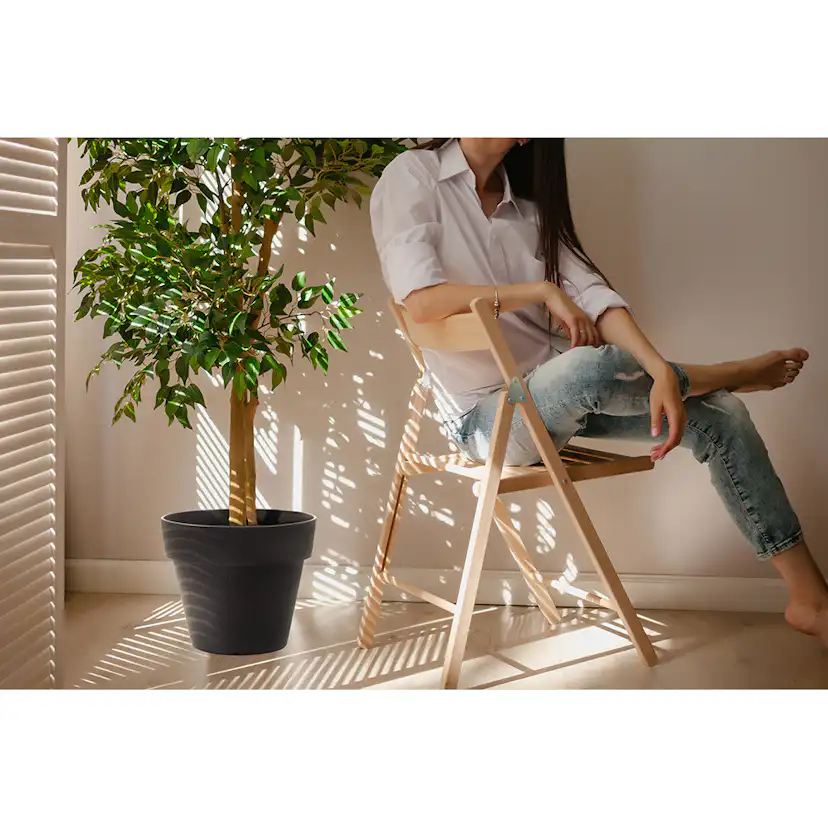 Blomkruka Recal Bariton