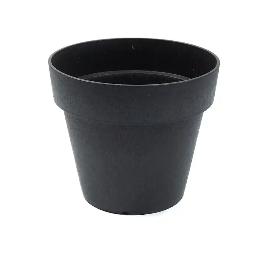 Blomkruka Recal Bariton