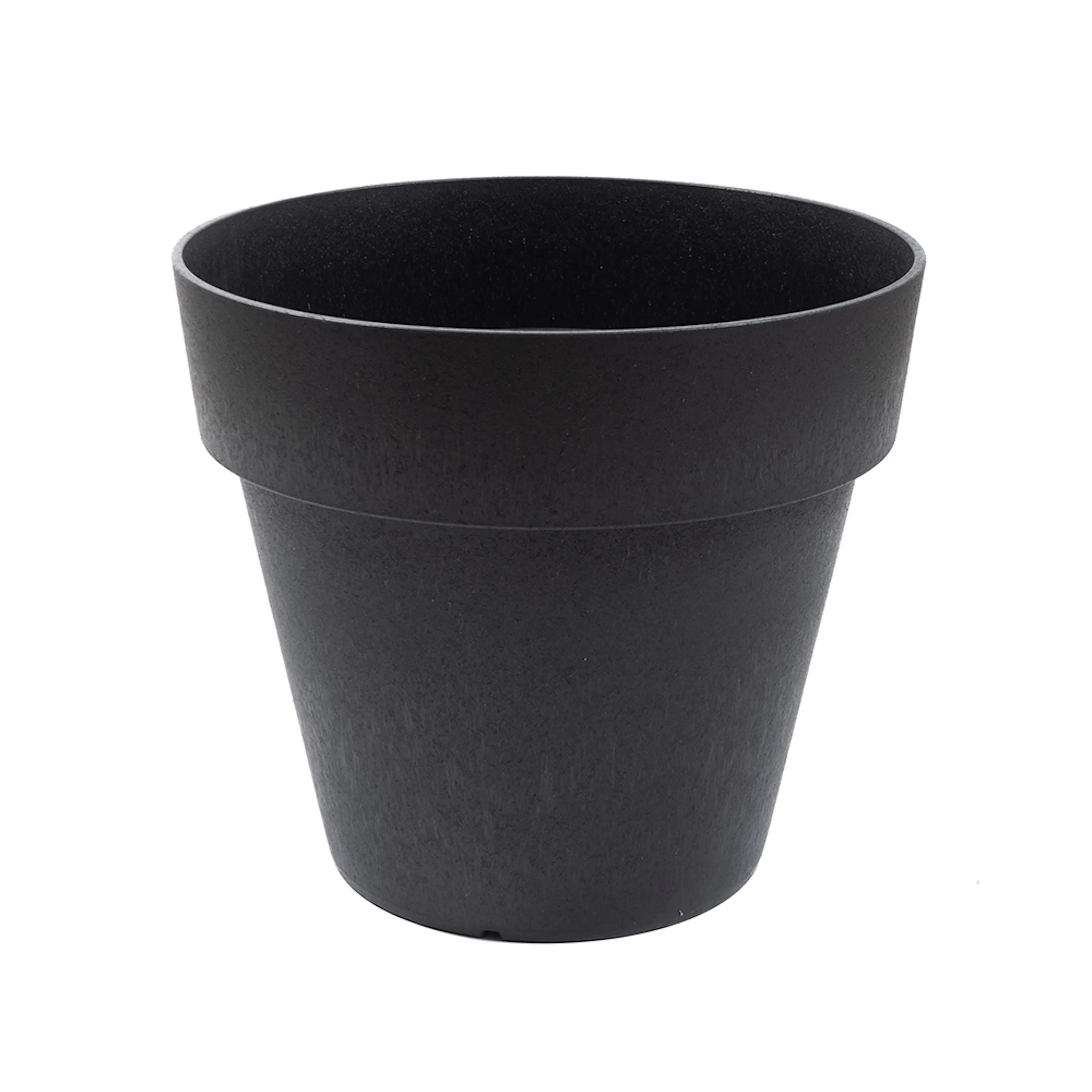 Blomkruka Recal Bariton