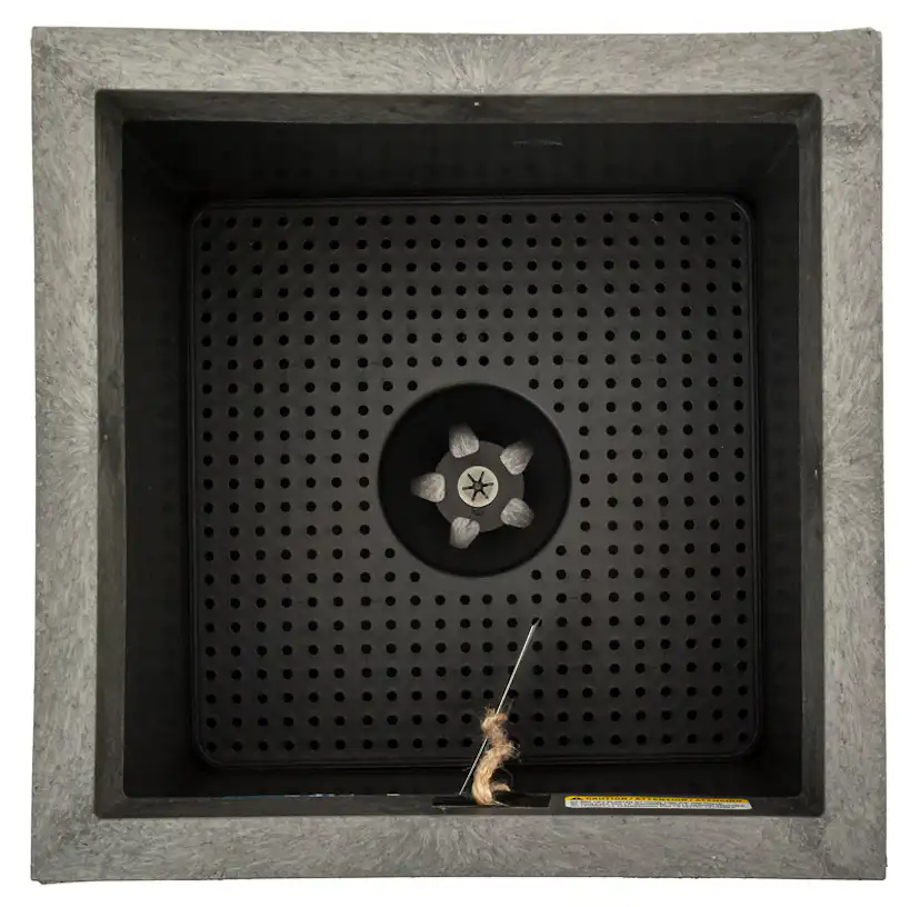 Blomkruka Recal Serenity