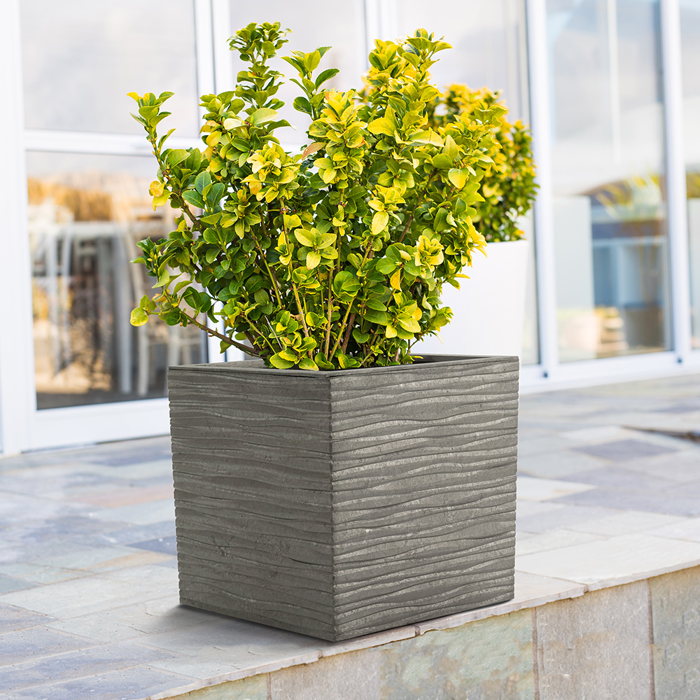 Blomkruka Recal Serenity