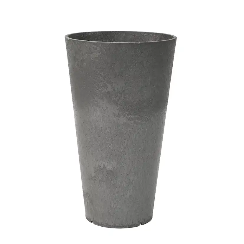 Blomkruka Recal Concerto