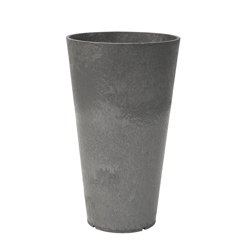 Blomkruka Recal Concerto