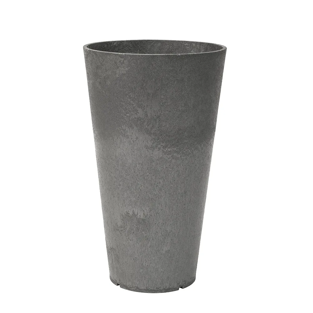 Blomkruka Recal Concerto