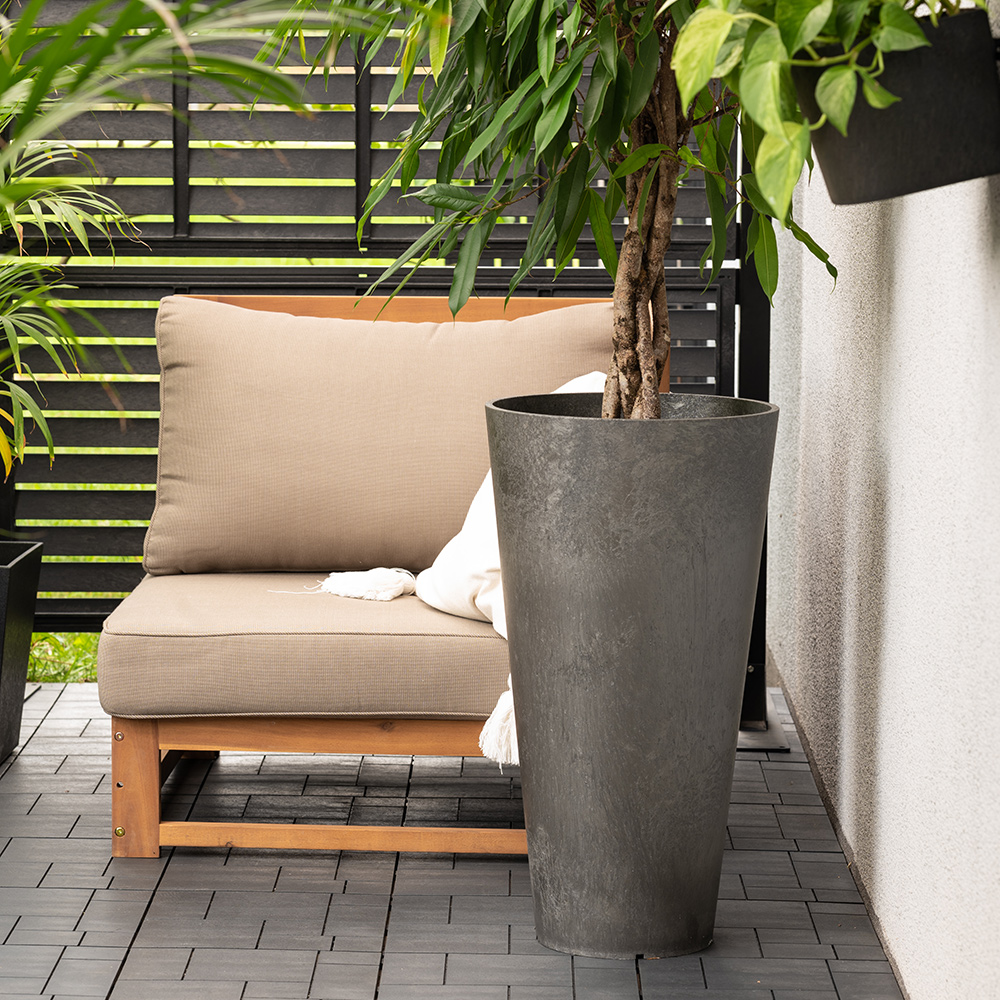 Blomkruka Recal Concerto