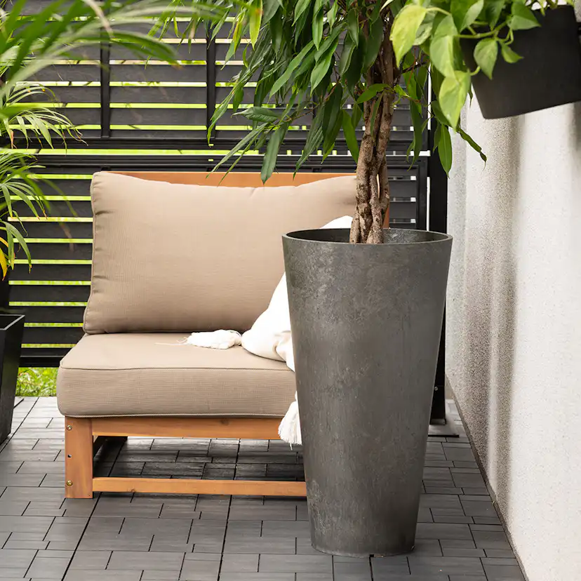 Blomkruka Recal Concerto