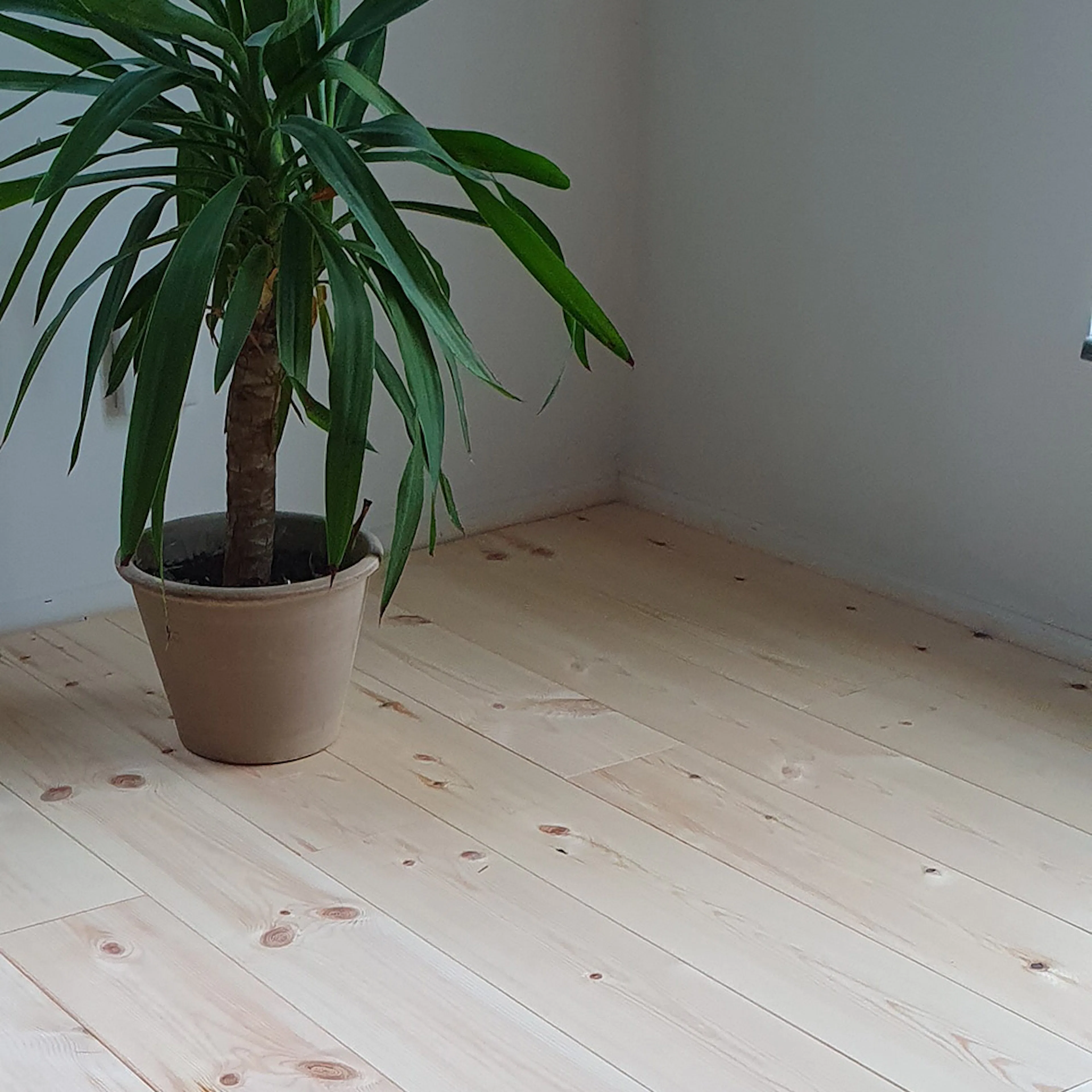 Massivt Trägolv Eden Wood Natur, Mattlackat 1-Stav Norrlandsfuru