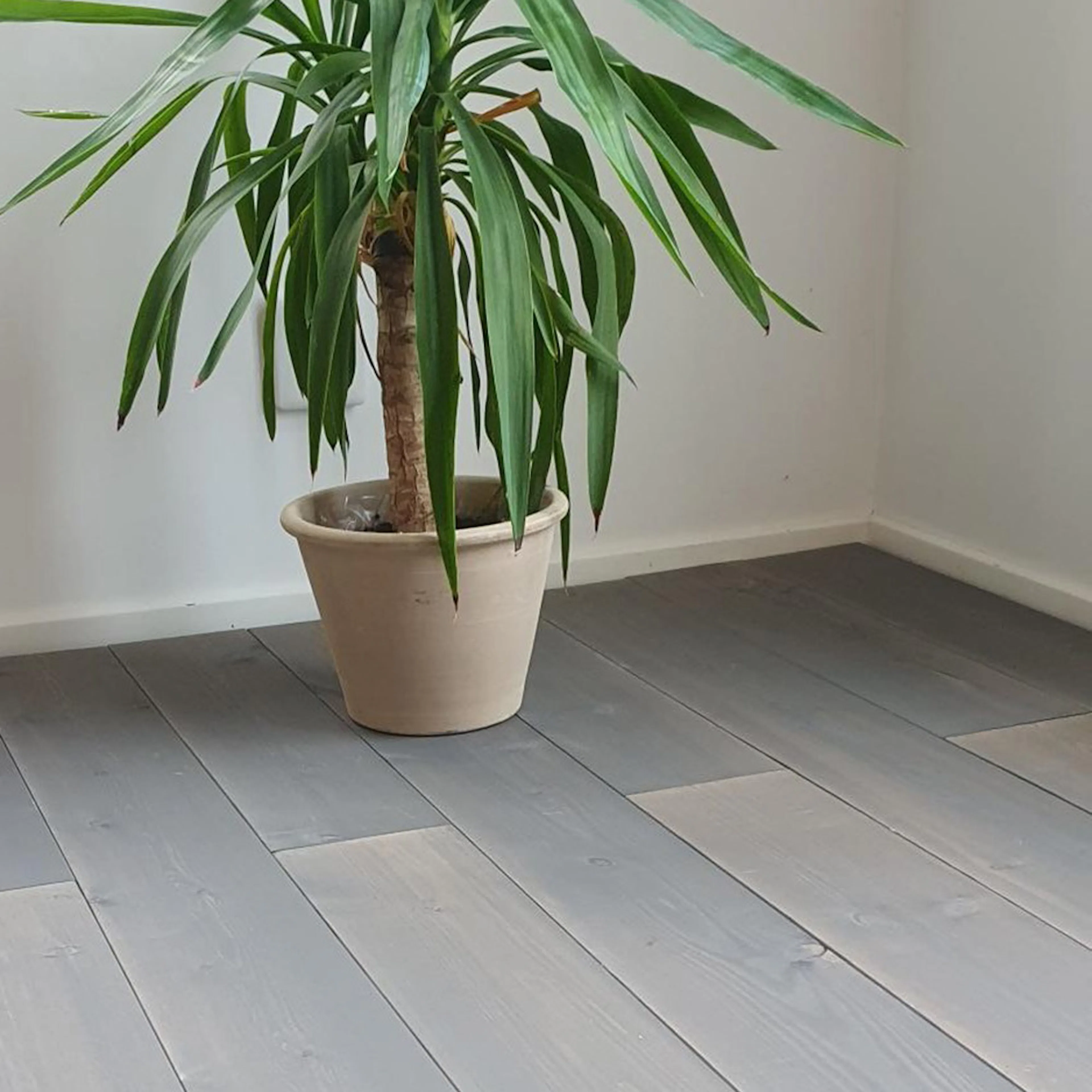 Massivt Trägolv Eden Wood Pearl Grey