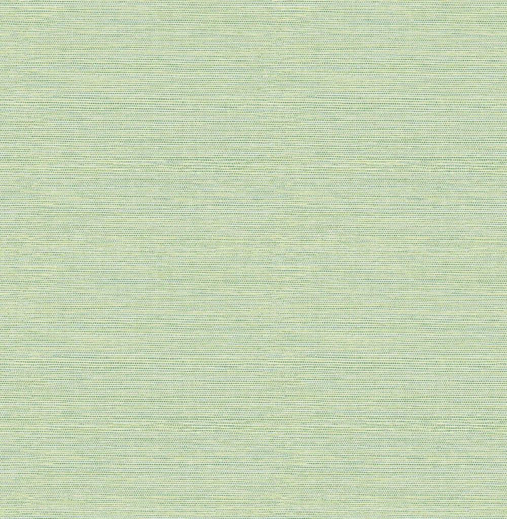 Tapet A Street Prints Grasscloth FD24284