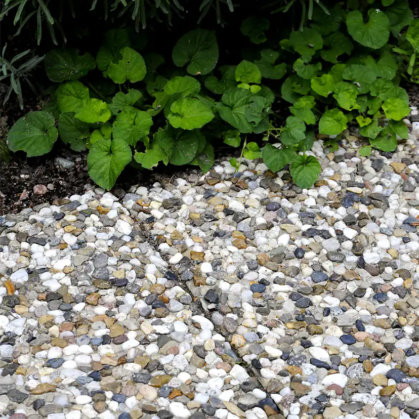 Frilagd platta S:t Eriks Dansk Sjösten Helpall