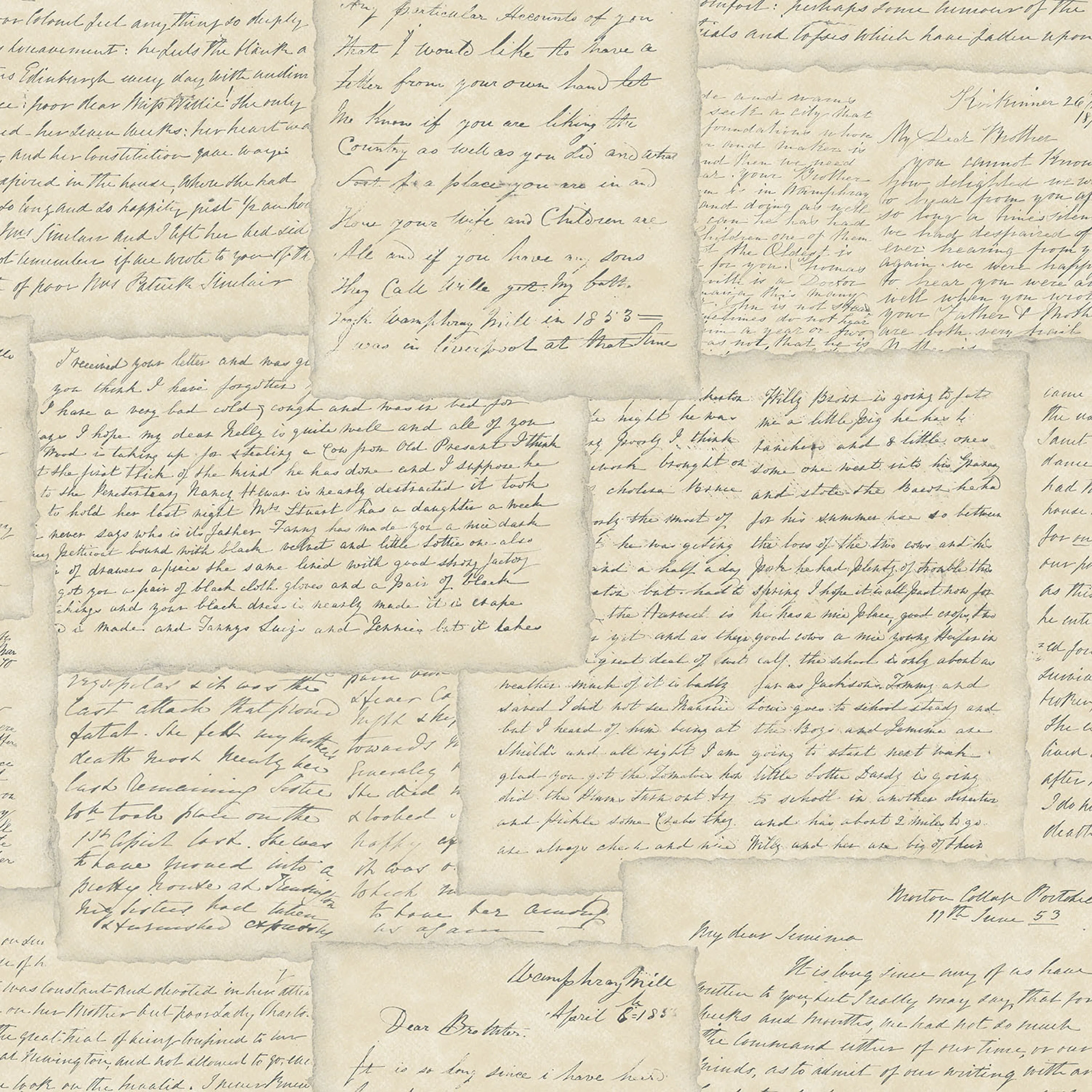 Tapet Galerie Wallcoverings Family Letters G56123