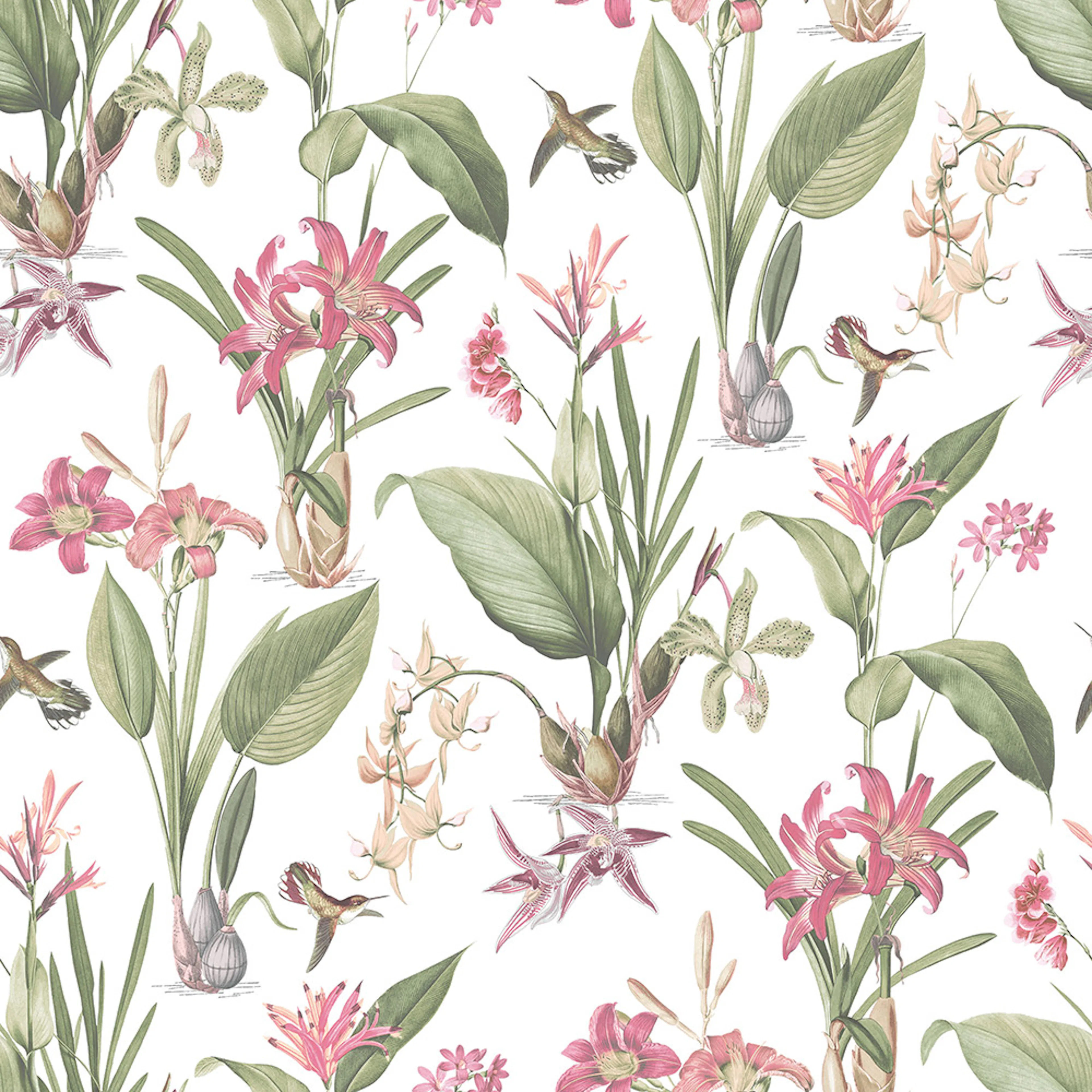 Tapet Galerie Wallcoverings English Garden G78506