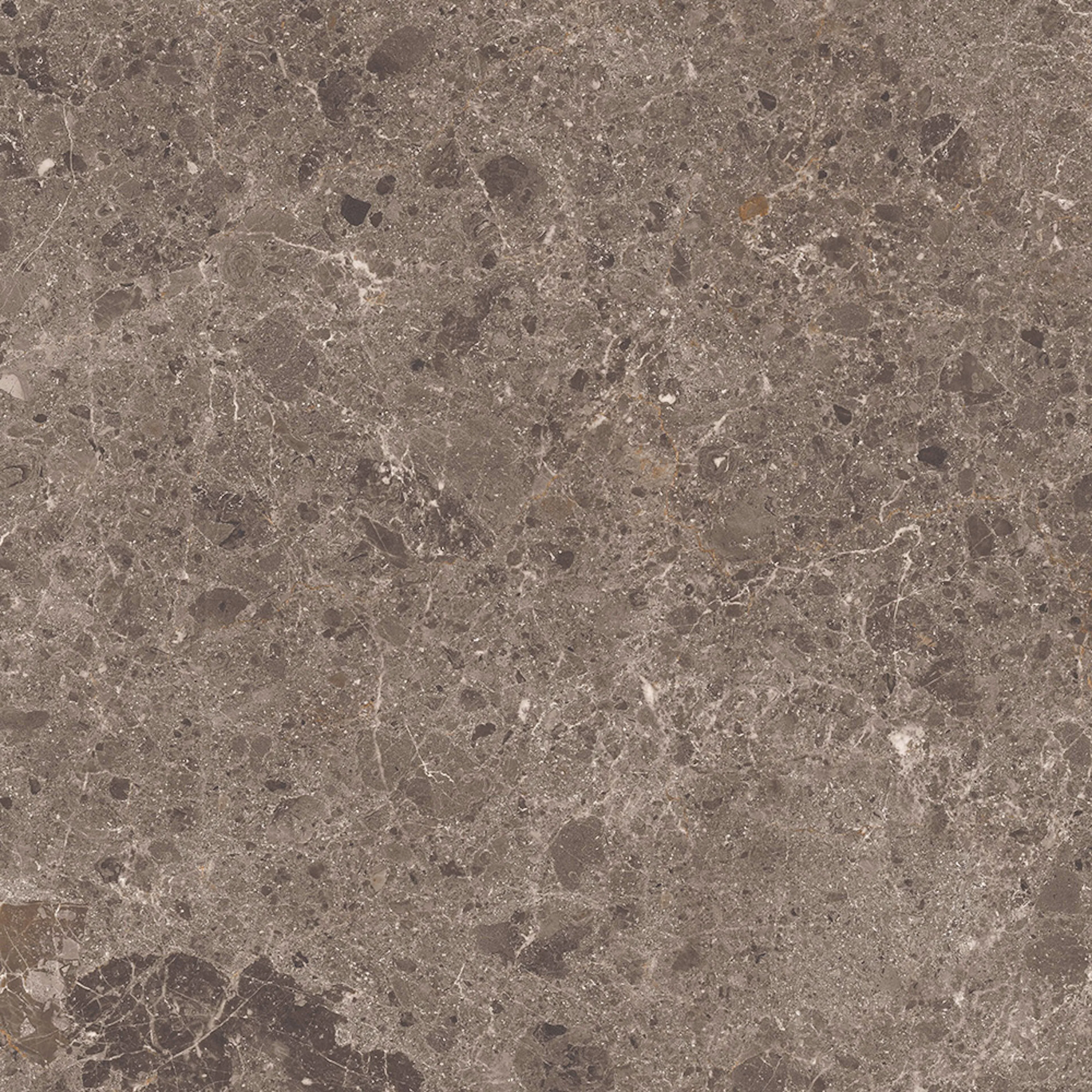 Klinker Tenfors Artic Moka Marmor Matt 60x60 cm