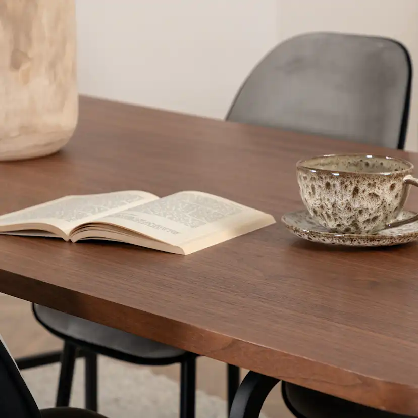 Matgrupp Venture Home Chicago matbord och Elisa matstol