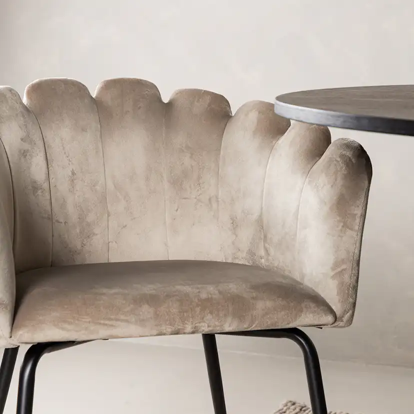 Matgrupp Venture Home Bootcut med 4 Limhamn Light Stolar