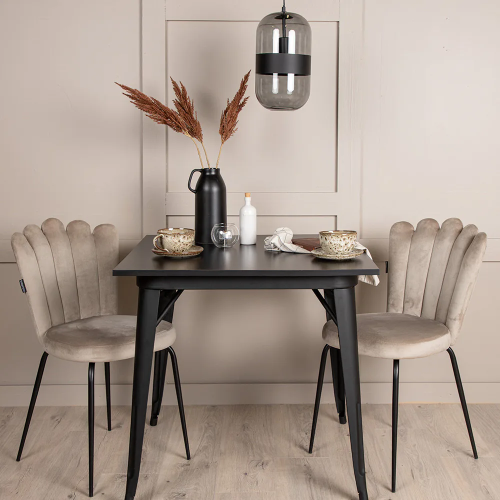 Matgrupp Venture Home Tempe med 2 Limhamn Light Stolar