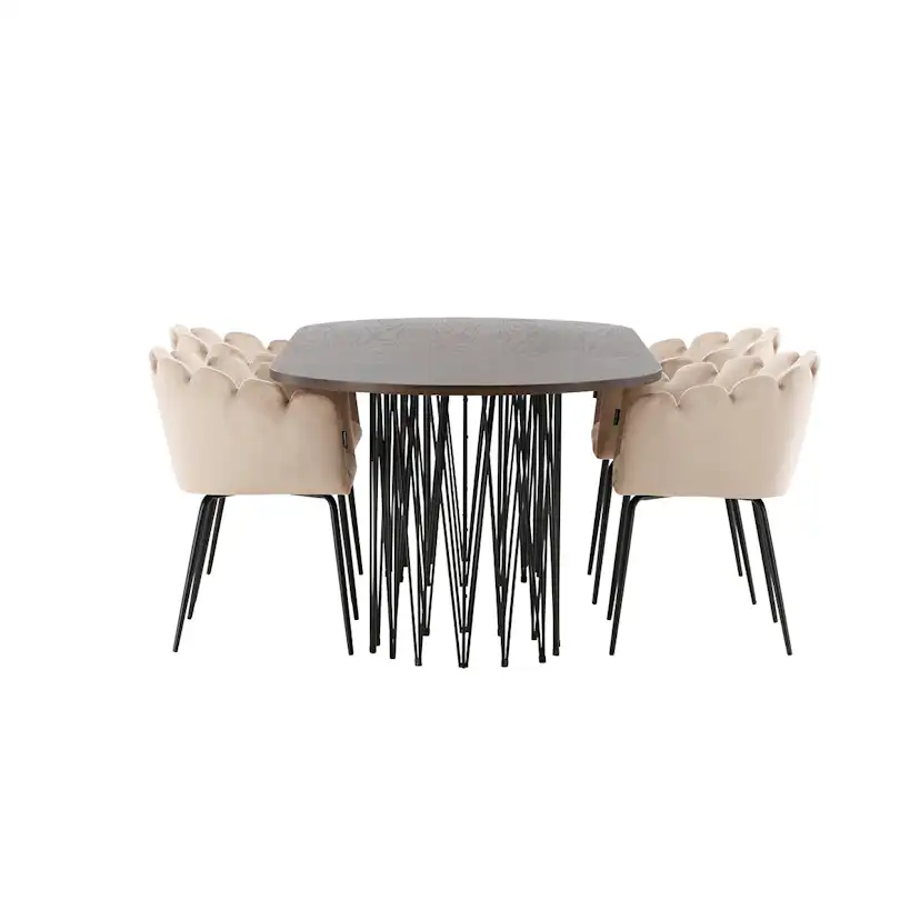 Matgrupp furniture/fashion Stone med 4 Limhamn Stolar