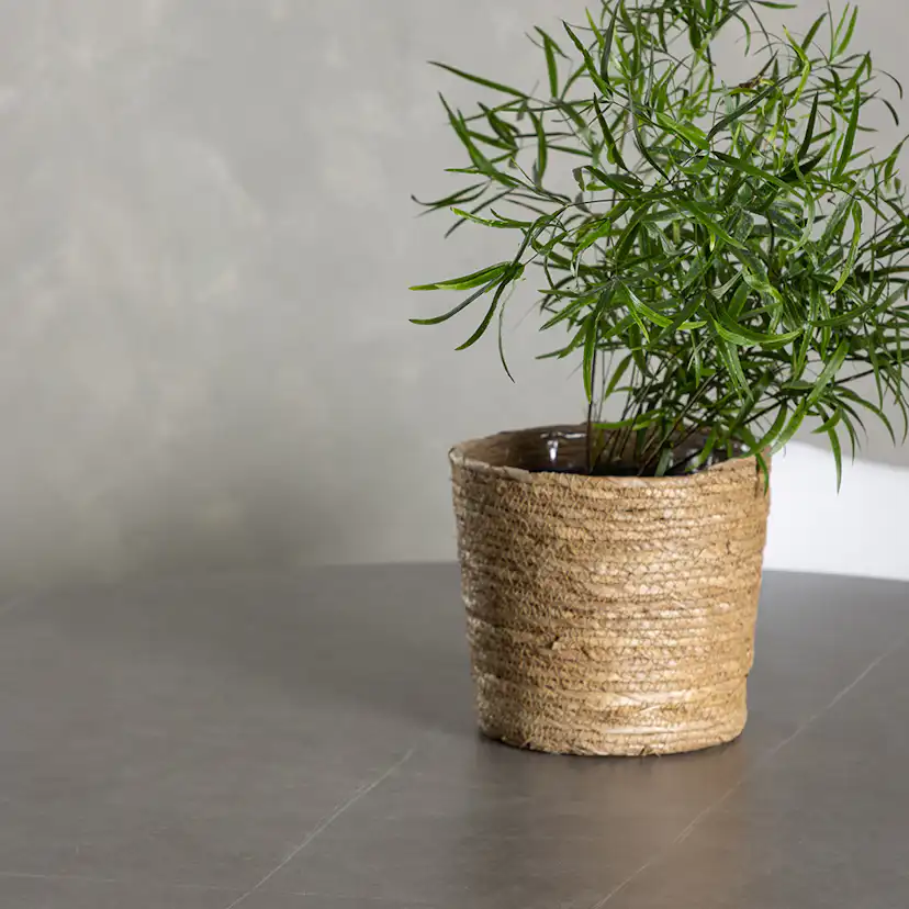 Matgrupp Venture Home Piazza Ø120 cm med 4 st Zeno stolar