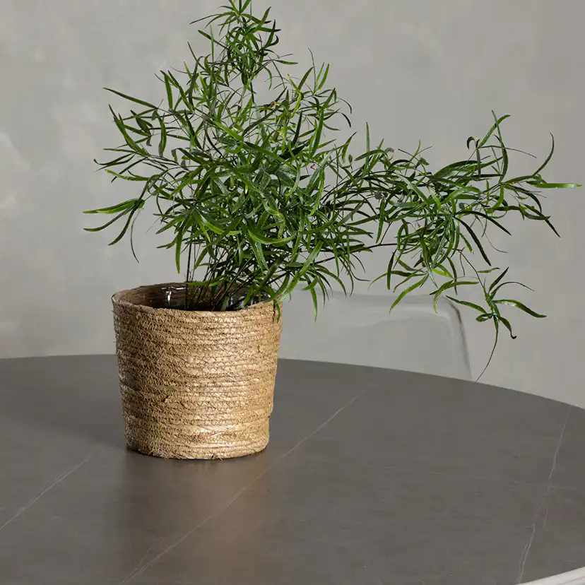 Matgrupp Venture Home Piazza Ø120 cm med 4 st Edvin stolar