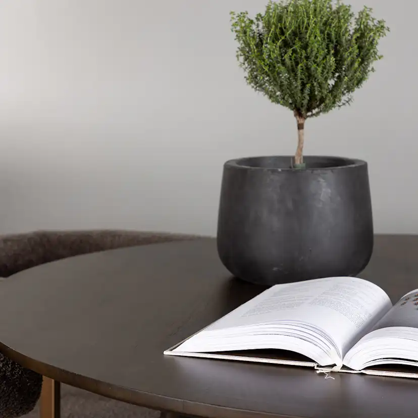 Matgrupp Venture Home Kaseidon Ø100 cm med 4 st Morning stolar