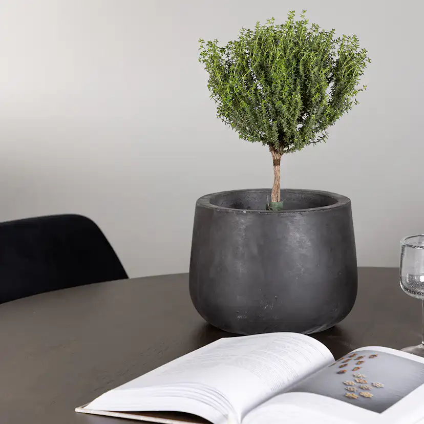 Matgrupp Venture Home Kaseidon Ø100 cm med 4 st Night stolar