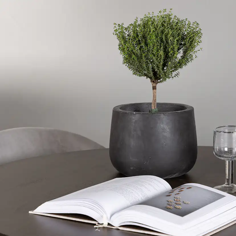 Matgrupp Venture Home Kaseidon Ø100 cm med 4 st Evelina stolar