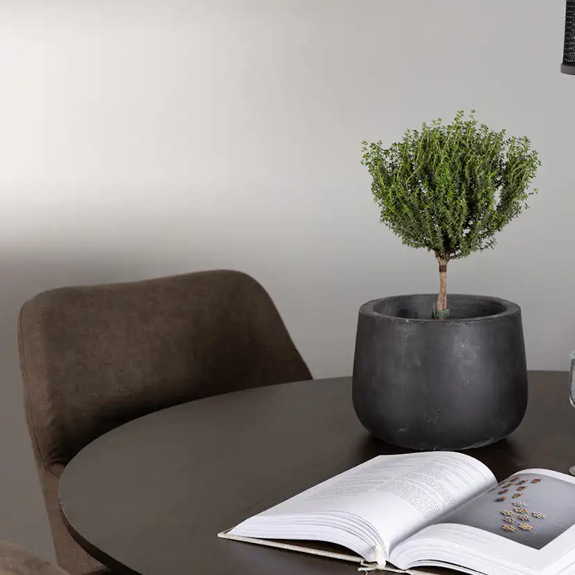 Matgrupp Venture Home Kaseidon Ø100 cm med 4 st Tomorrow stolar