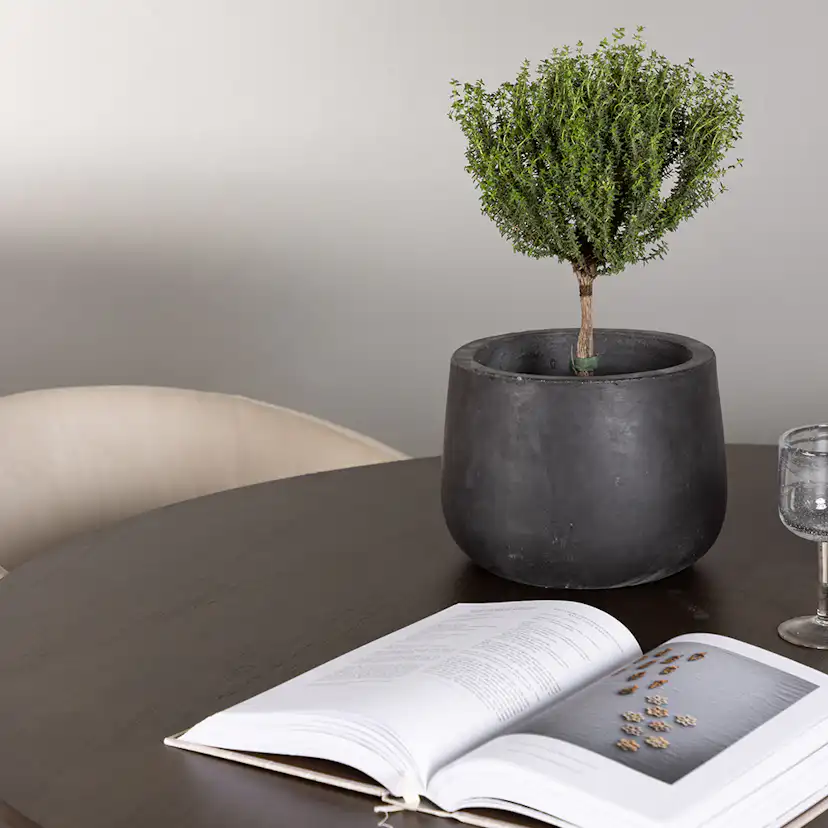 Matgrupp Venture Home Kaseidon Ø100 cm med 4 st Berit stolar