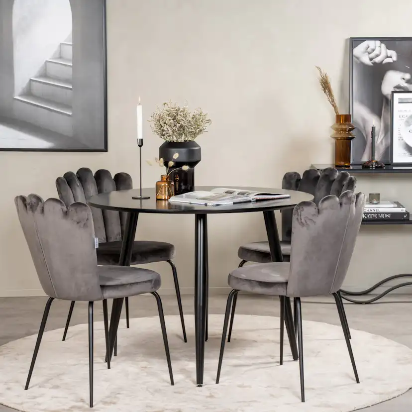 Matgrupp Venture Home Plaza med 4st Limhamn Stolar