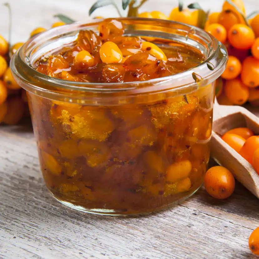 Buske Havtorn Omnia Garden Trädgårdens vitaminförråd