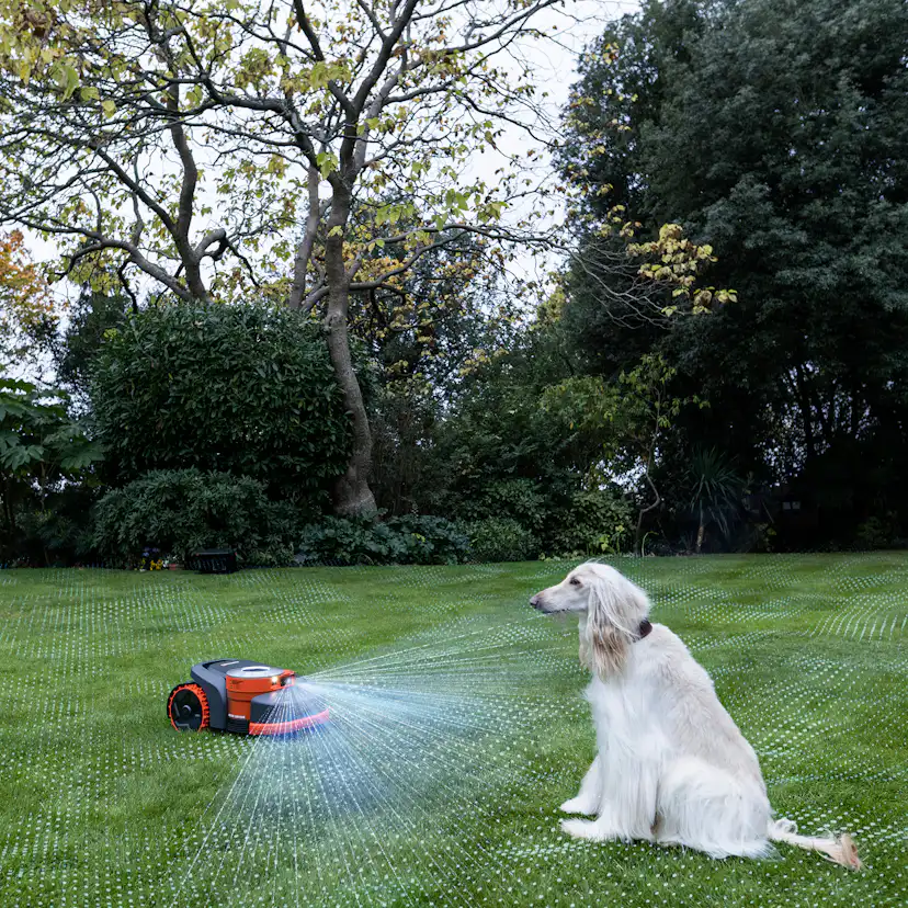 Robotgräsklippare Segway Navimow H230E
