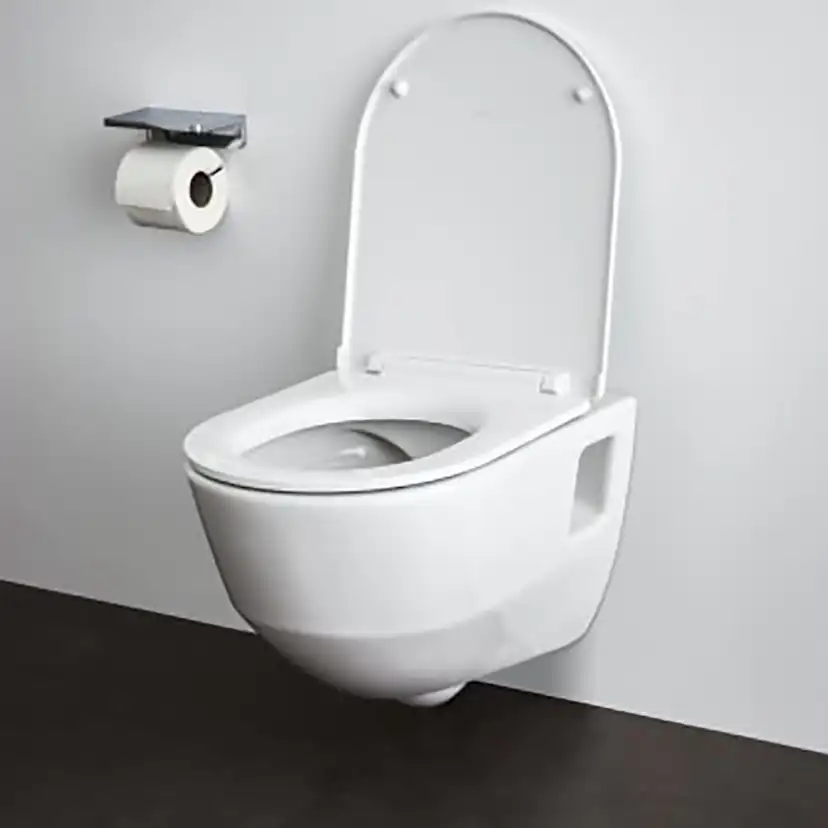 Vägghängd Toalettstol Laufen Pro 820964 Rimless med Öppet Montage