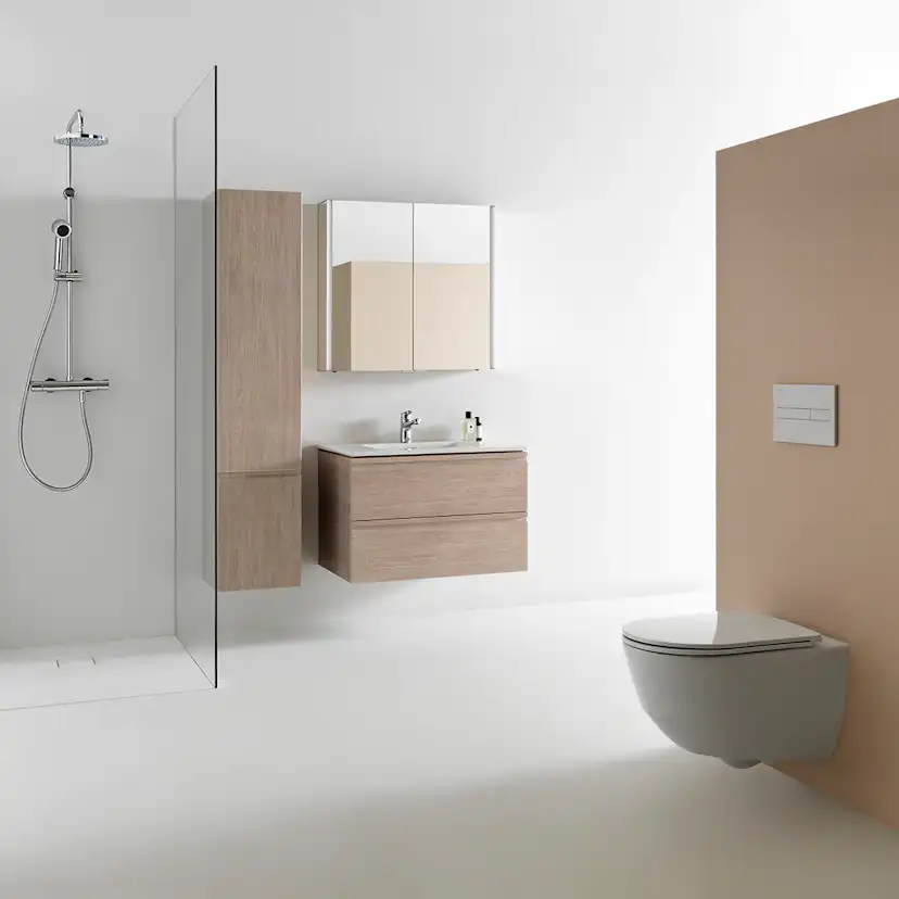 Vägghängd Toalettstol Laufen Pro 820966 Rimless