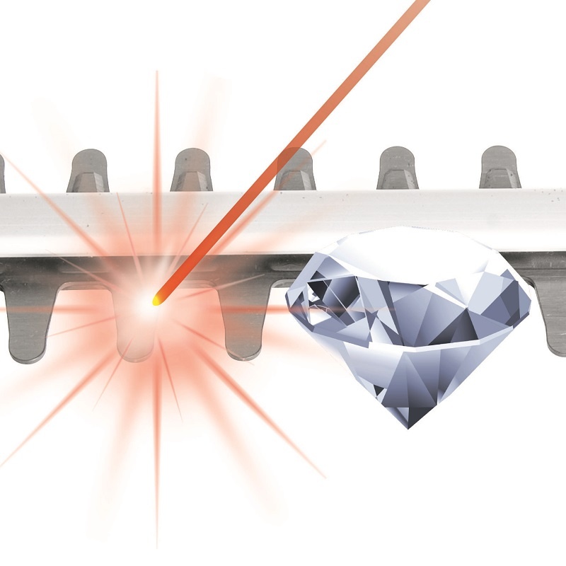 Häcksax Einhell GH-EH 4245