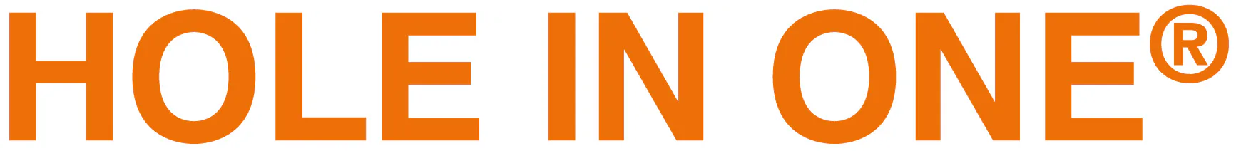 HOLE IN ONE logo