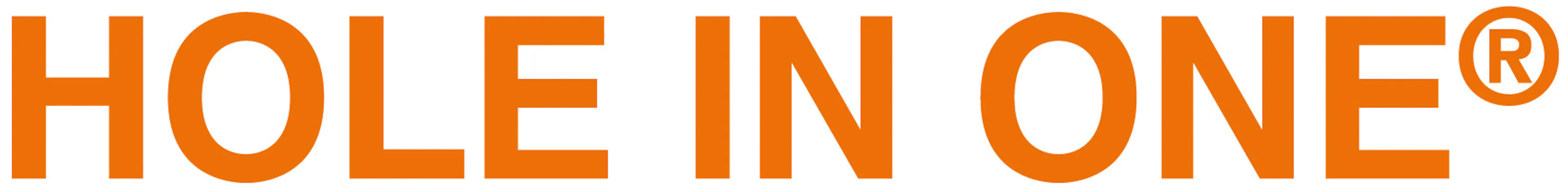 HOLE IN ONE logo
