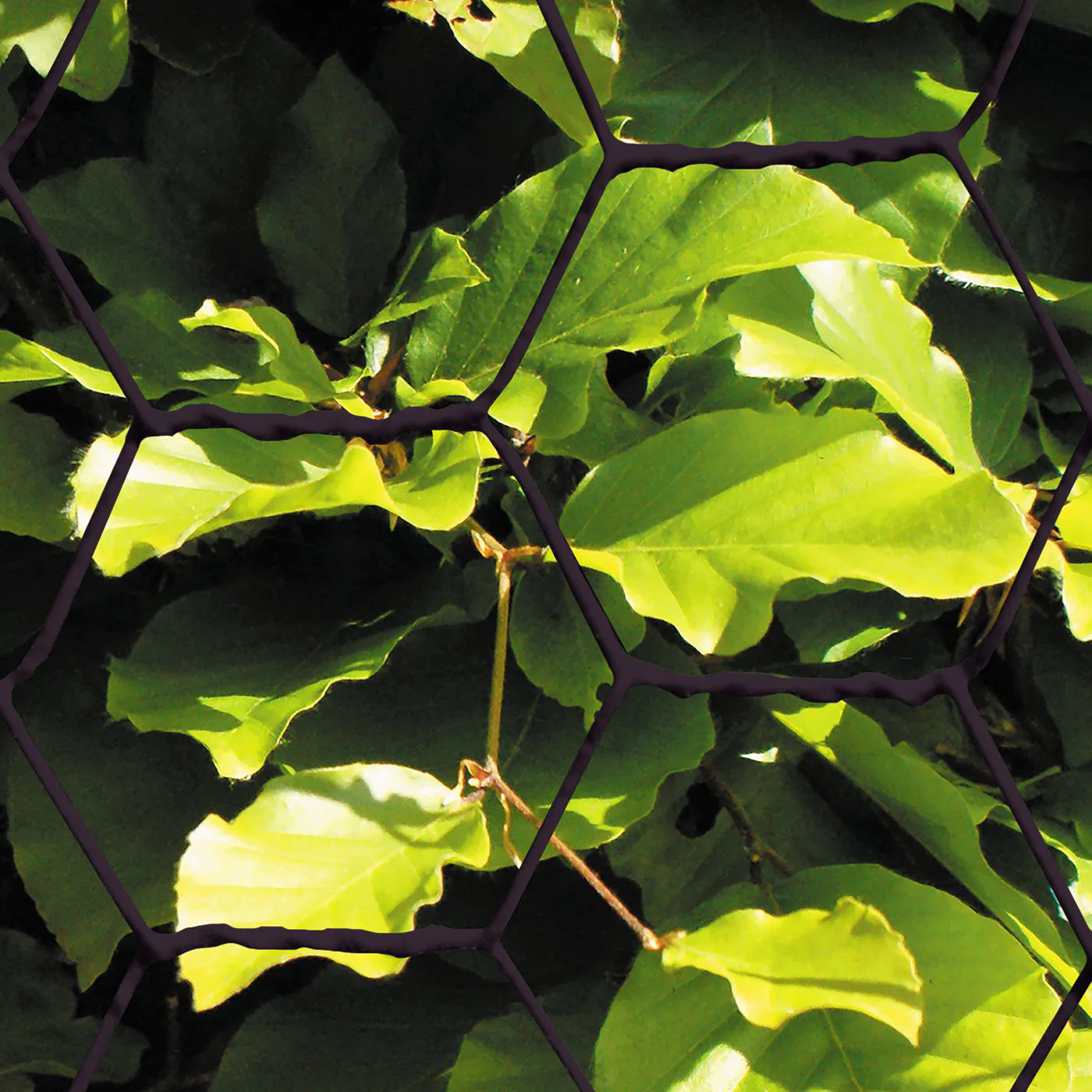 Hönsnät HORTUS Svart