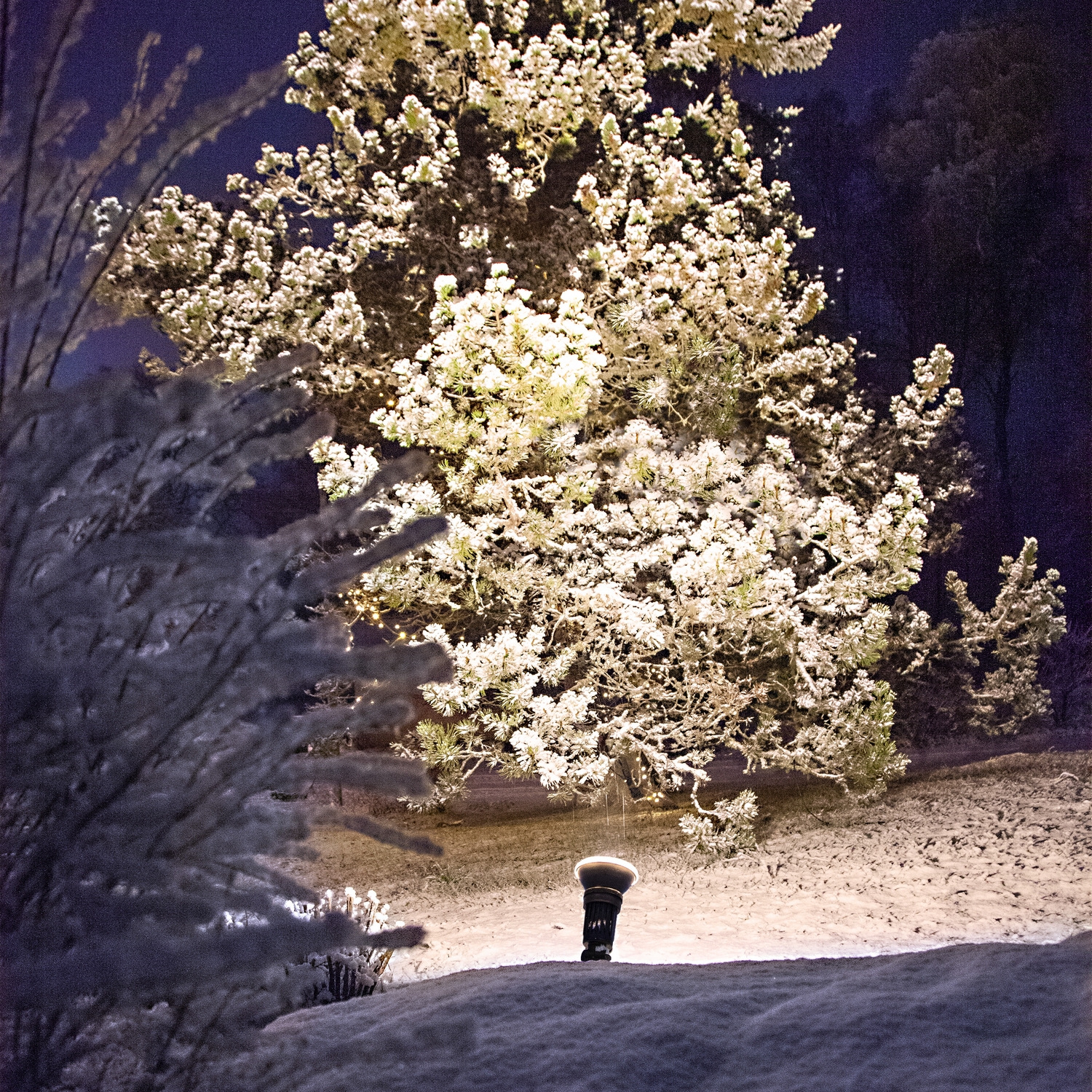 LED-lampa Star Trading E27 PAR38 Spotlight Outdoor Svart