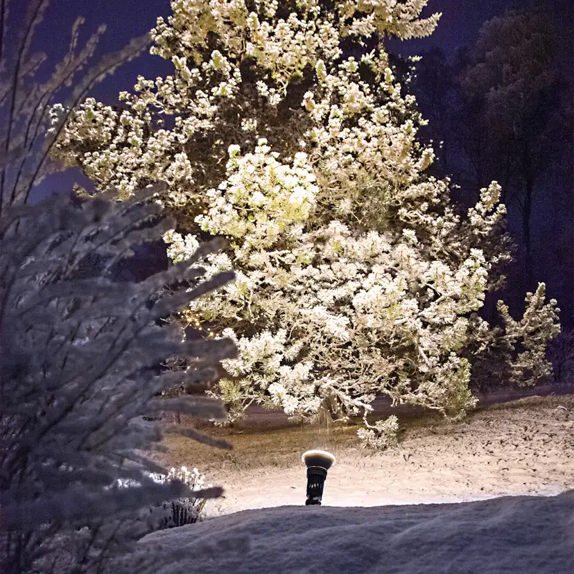 LED-lampa Star Trading E27 PAR38 Spotlight Outdoor Svart