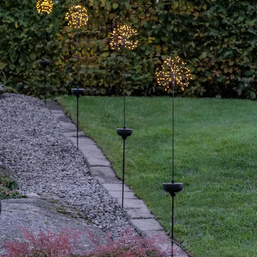 Solcellsdekoration Star Trading Dandelion Firework Twilight