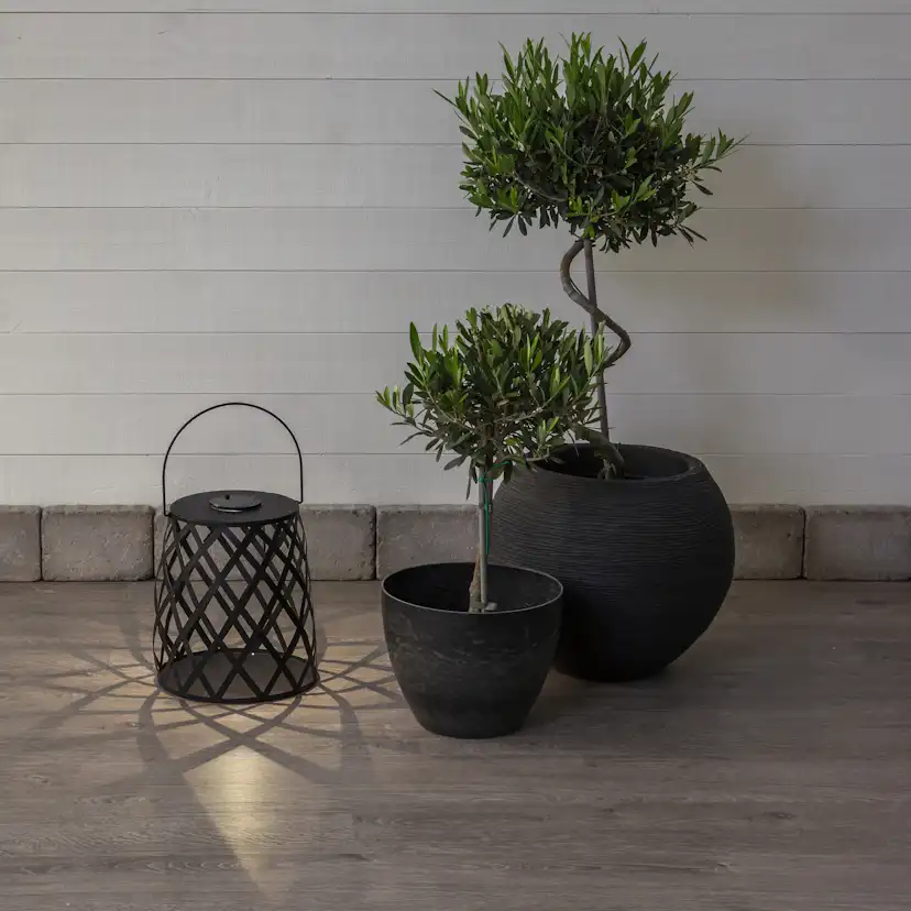 Solcellslykta Star Trading Calabria Twilight